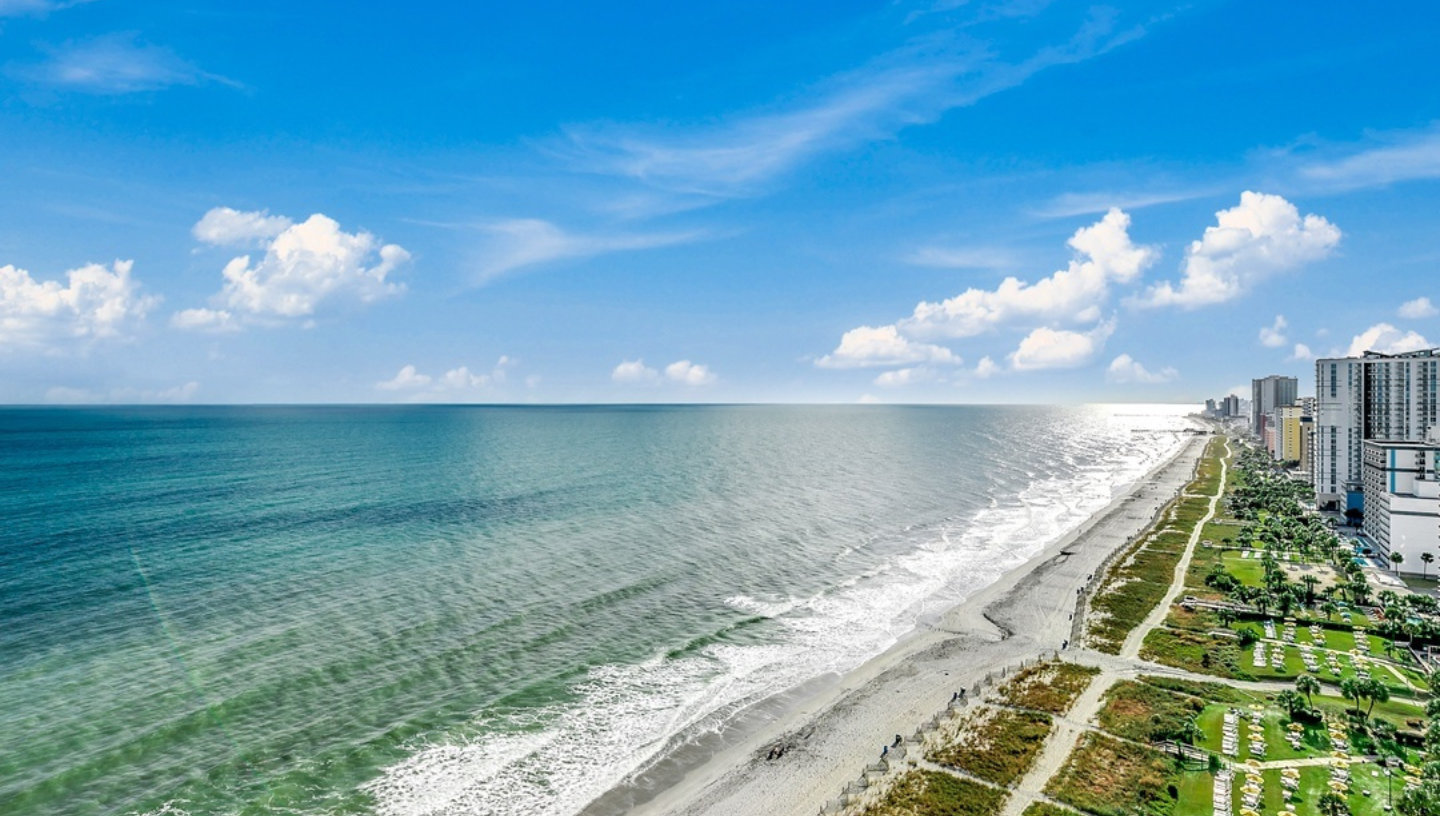 Image for Bonus Night by the Beach